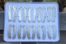 Load image into Gallery viewer, Slightly Blemished Scales for PM2 and Para3