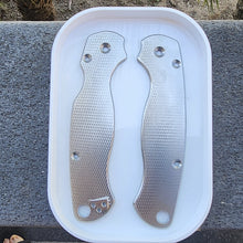 Load image into Gallery viewer, Slightly Blemished Scales for PM2 and Para3