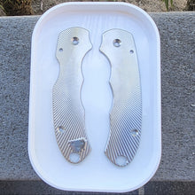 Load image into Gallery viewer, Slightly Blemished Scales for PM2 and Para3