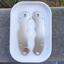 Load image into Gallery viewer, Slightly Blemished Scales for PM2 and Para3