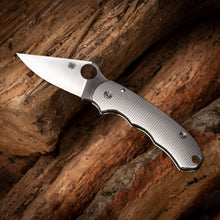 Load image into Gallery viewer, Para 3 Titanium Scales - Diamond pattern