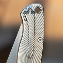 Load image into Gallery viewer, PM2 Titanium Clip - Radial Pattern