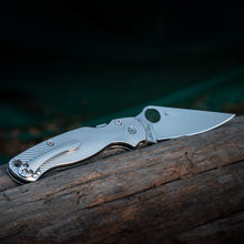 Load image into Gallery viewer, PM2 Titanium Scales - Radial pattern