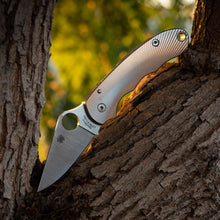 Load image into Gallery viewer, Para 3 Titanium Scales - Radial pattern
