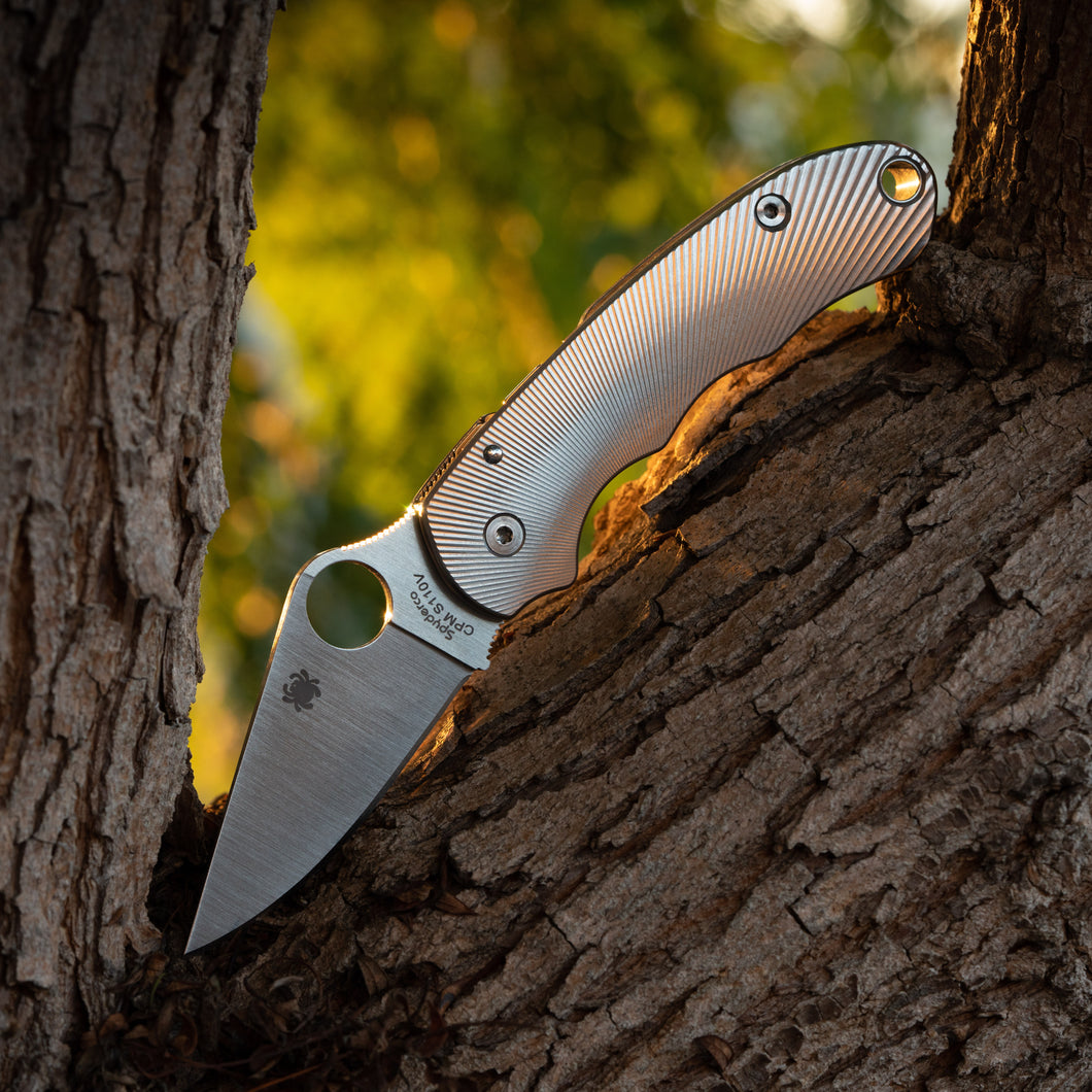 Para 3 Titanium Scales - Radial pattern