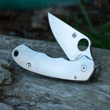 Load image into Gallery viewer, Para 3 Titanium Scales - Radial pattern
